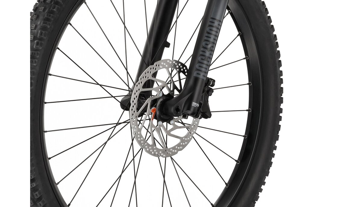 Carver Drift E.520 - B-Ware - 625 Wh - 29 Zoll - Fully