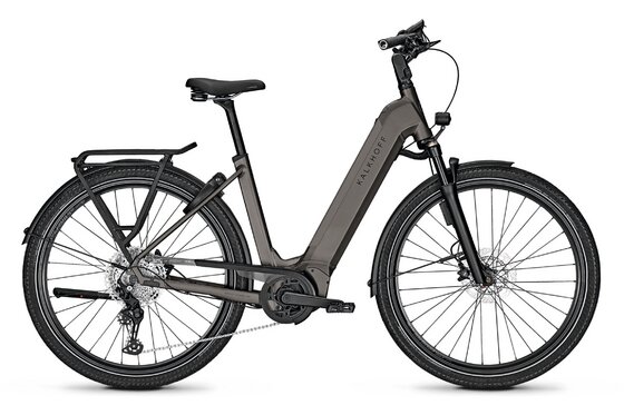 E-Bike-Pedelec - Kalkhoff Endeavour 5 Advance + ABS - 625 Wh - 29 Zoll - Tiefeinsteiger