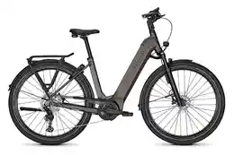 Kalkhoff Endeavour 5 Advance + ABS - 625 Wh - 29 Zoll - Tiefeinsteiger