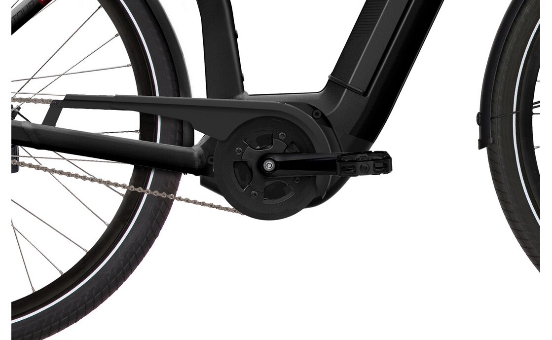 Flyer Gotour6 5.01R - Intuvia - 625 Wh - 28 Zoll - Tiefeinsteiger - Aktion