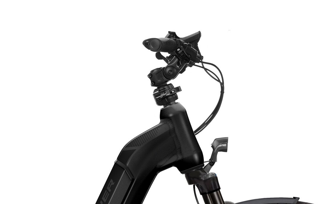 Flyer Gotour6 5.01R - Intuvia - 625 Wh - 28 Zoll - Tiefeinsteiger - Aktion