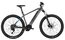 Carver Strict E.410 LTD - B-Ware - 500 Wh - 29 Zoll - Diamant