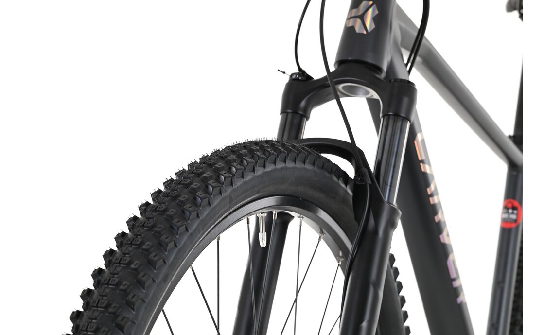 Carver Strict 170 - 27,5 Zoll - Diamant - 2024