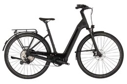 Kettler Quadrano Lite 11 Carbon - 640 Wh - 28 Zoll - Tiefeinsteiger