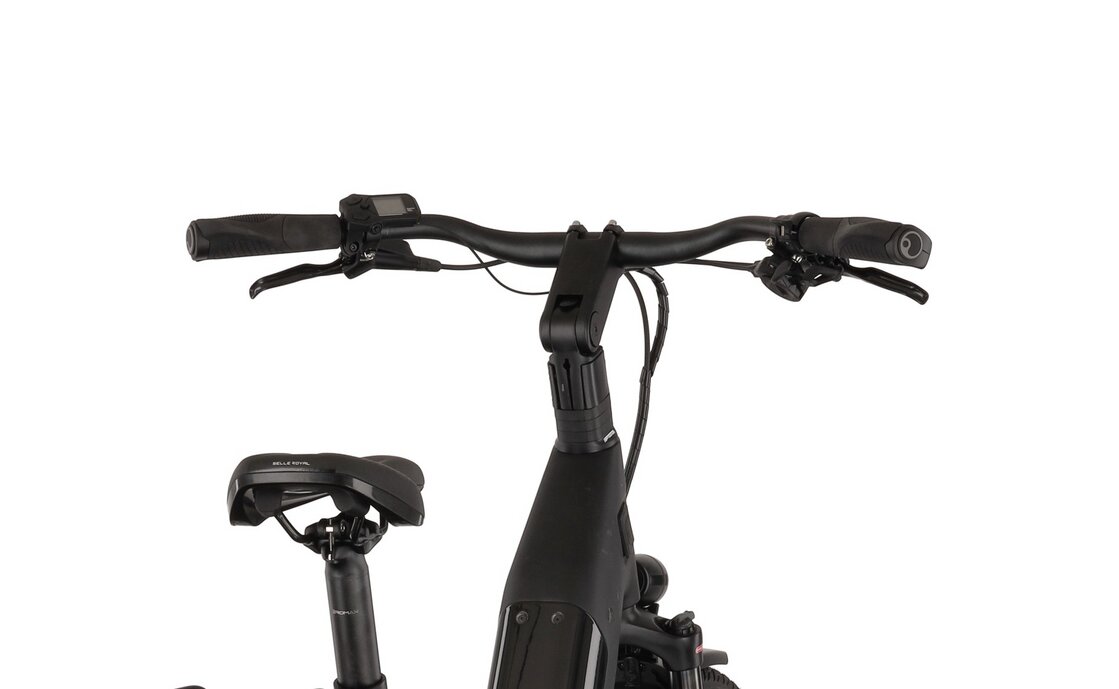 Kettler Quadrano Lite 11 Carbon - 640 Wh - 28 Zoll - Tiefeinsteiger