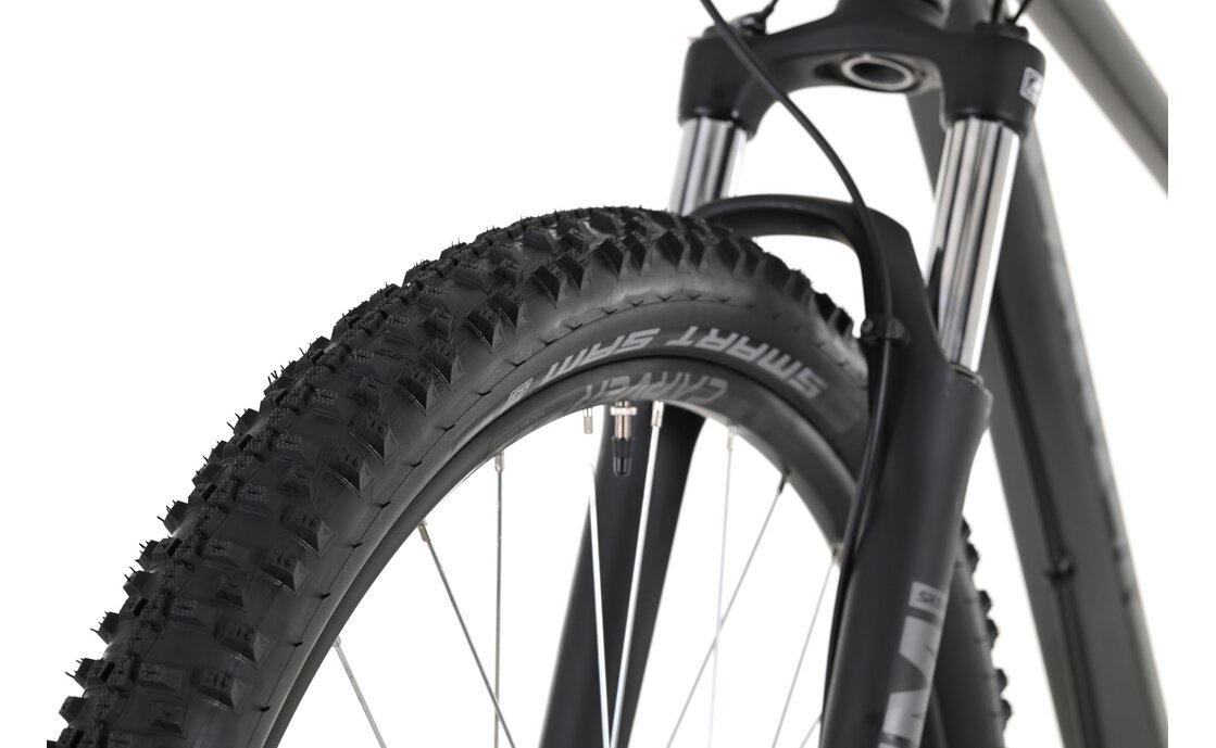 Carver Strict 130 - 29 Zoll - Diamant - 2024