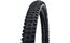 Schwalbe Big Betty 29x2,40 Performance ADDIX DD TLE E-50