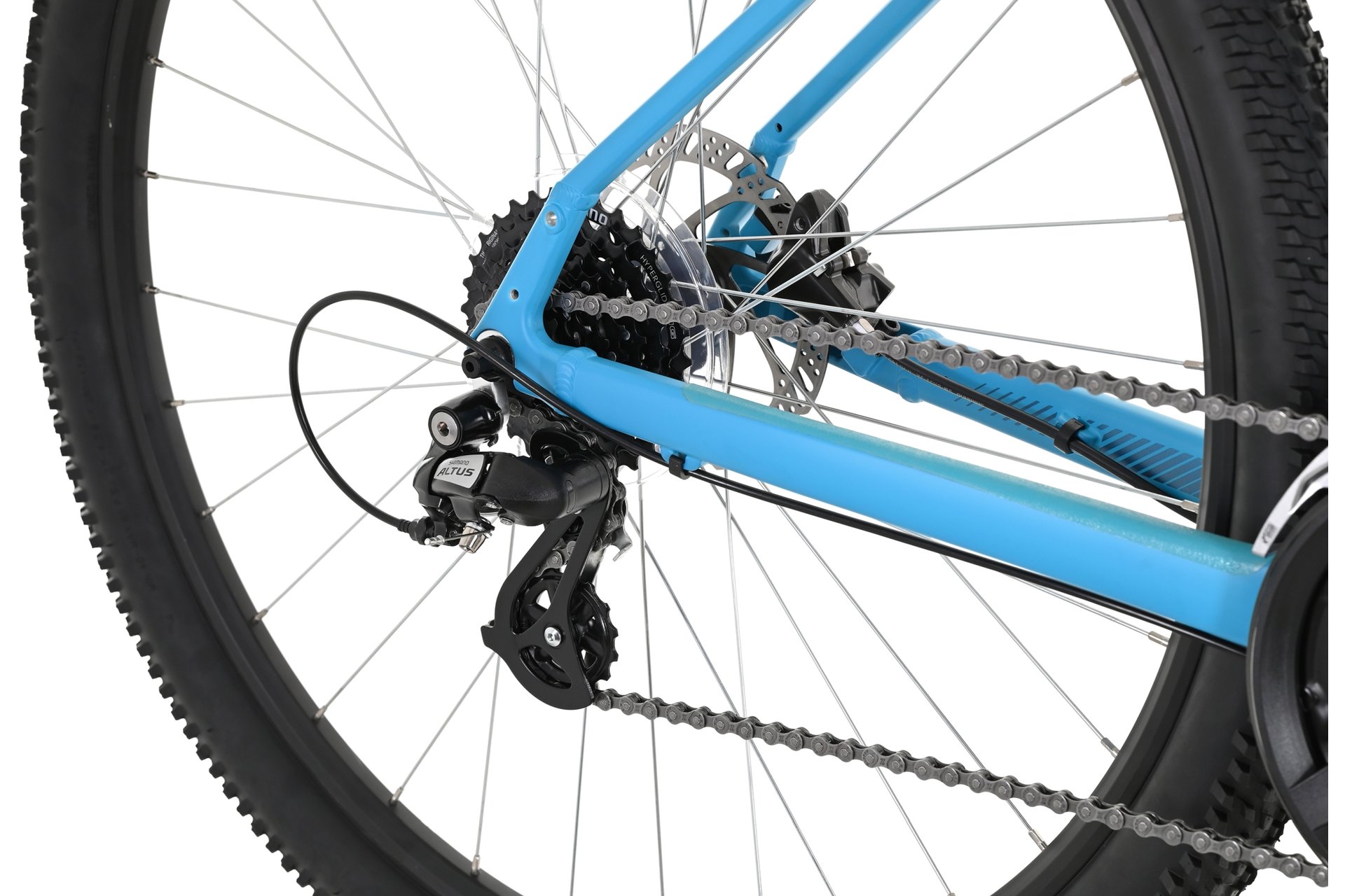 Carver Strict 110 W - 29 Zoll - Diamant - 2024