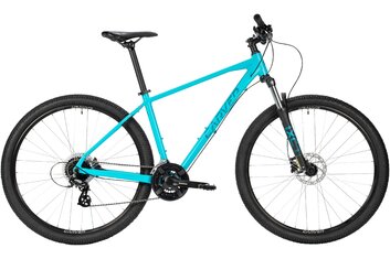 Hardtail - Carver Strict 110 W - 2022 - 29 Zoll - Diamant