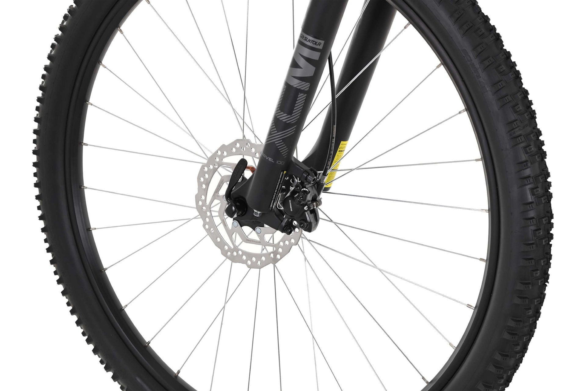 Carver Strict 120 - 29 Zoll - Diamant - 2024