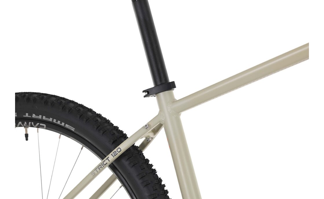 Carver Strict 120 - 29 Zoll - Diamant - 2024