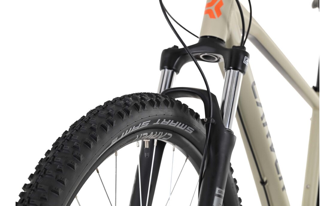 Carver Strict 120 - 29 Zoll - Diamant - 2024