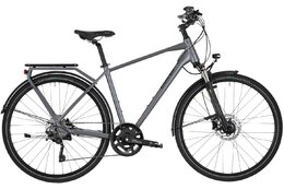 Carver Route 140 20s - B-Ware - 28 Zoll - Diamant - 2025