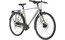 Carver Uniq Drei - 28 Zoll - Diamant - 2024
