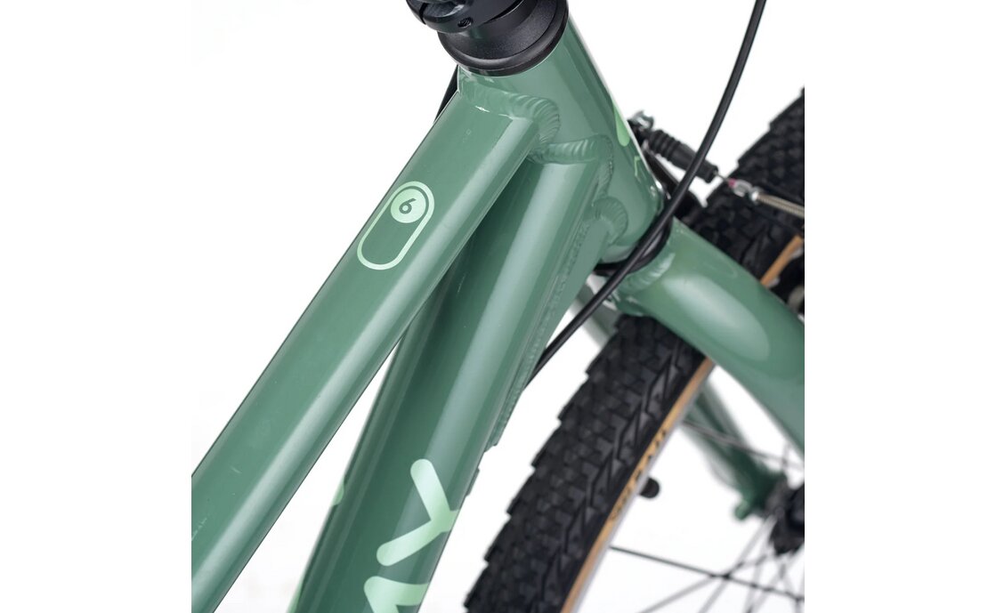 Academy Grade 6 - 26 Zoll - Diamant - 2026