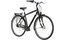 Carver Cityzen 120 - 28 Zoll - Diamant - 2024