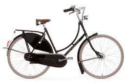 Gazelle Ultimate - Gazelle Tour Populair C8 - 28 Zoll - Tiefeinsteiger - 2026