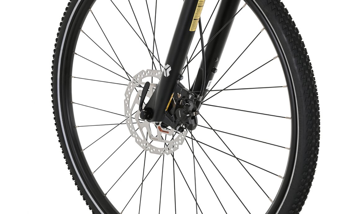Carver Cinos 140 - 28 Zoll - Diamant - 2024
