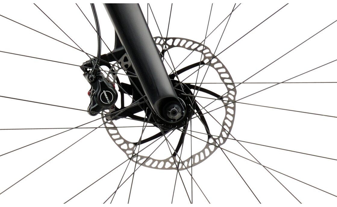 Koga X29-Runner Auslaufmodell 29 Zoll -20% | Fahrrad XXL