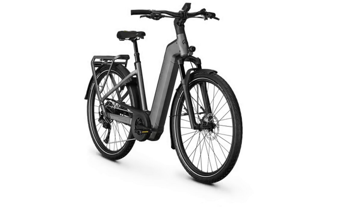 Kalkhoff Endeavour 5+ Advance - 800 Wh - 29 Zoll - Tiefeinsteiger - 2026