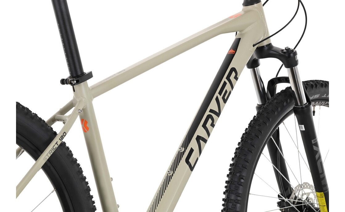 Carver Strict 120 - 29 Zoll - Diamant - 2024