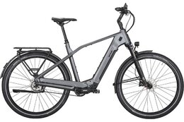 Kettler Pinniato HT Comfort - 720 Wh - 29 Zoll - Diamant