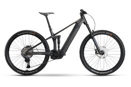 Raymon Korak Ultra - 800 Wh - 29 Zoll - Fully