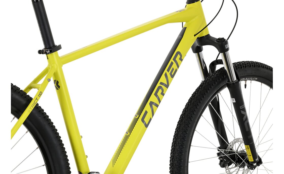 Carver Strict 110 - 29 Zoll - Diamant - 2024