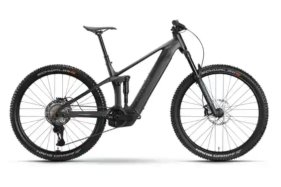 E-Bike Trekking - Raymon Korak Ultra - 800 Wh - 29 Zoll - Fully