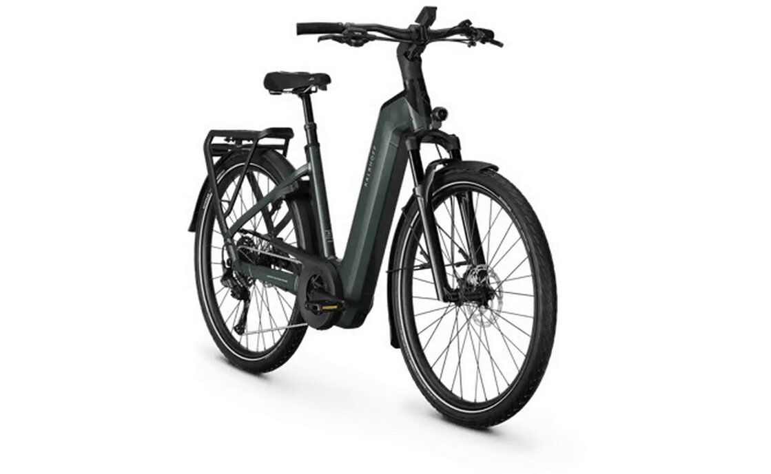Kalkhoff Endeavour 5+ Advance - 800 Wh - 29 Zoll - Tiefeinsteiger - 2026