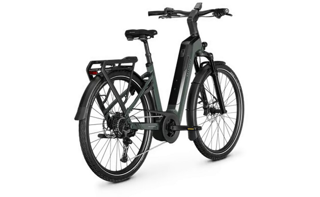 Kalkhoff Endeavour 5+ Advance - 800 Wh - 29 Zoll - Tiefeinsteiger - 2026
