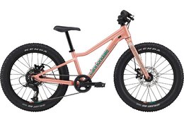 Cannondale Trail - Cannondale Kids Trail Plus - 20 Zoll - Diamant