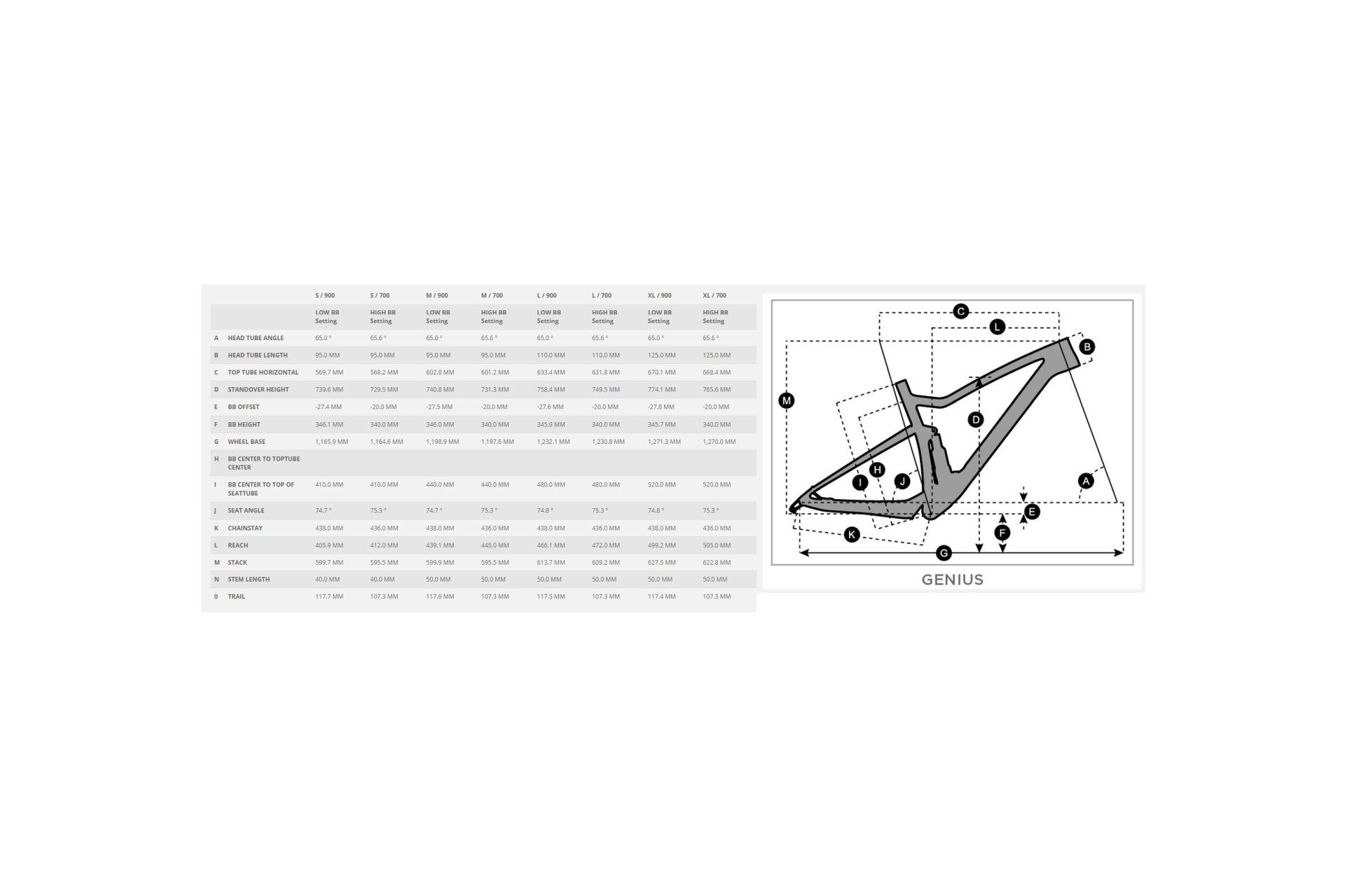 Scott Genius 920 - 29 Zoll - Fully - Aktion