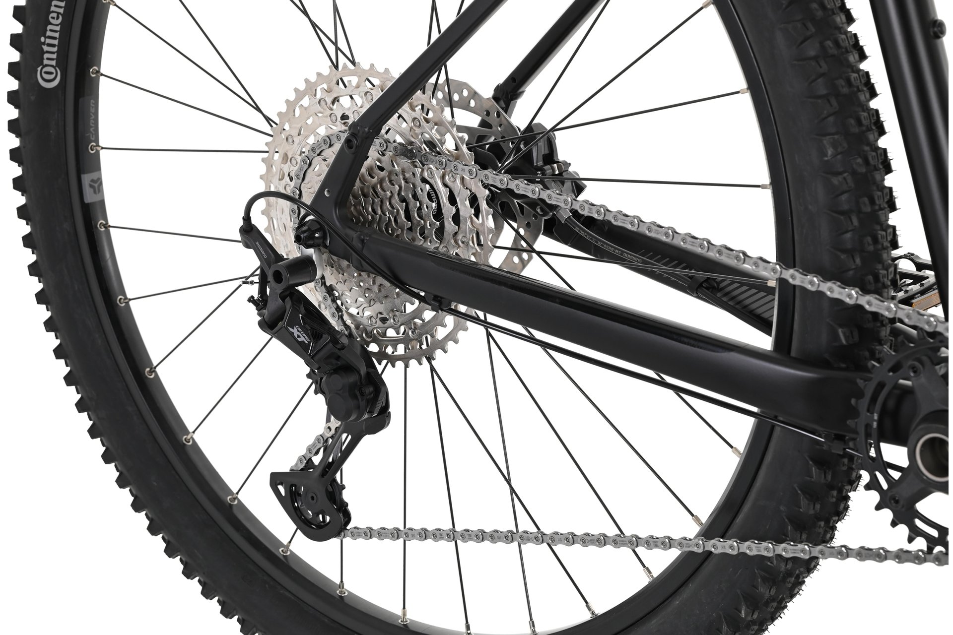 Carver Strict 150 - 29 Zoll - Diamant - 2023