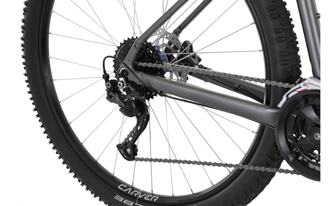 Carver Strict 120 - 29 Zoll - Diamant - 2024