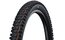 Schwalbe Albert Gravity Pro 29x2,50 ADDIX Soft Radial TLR E-50