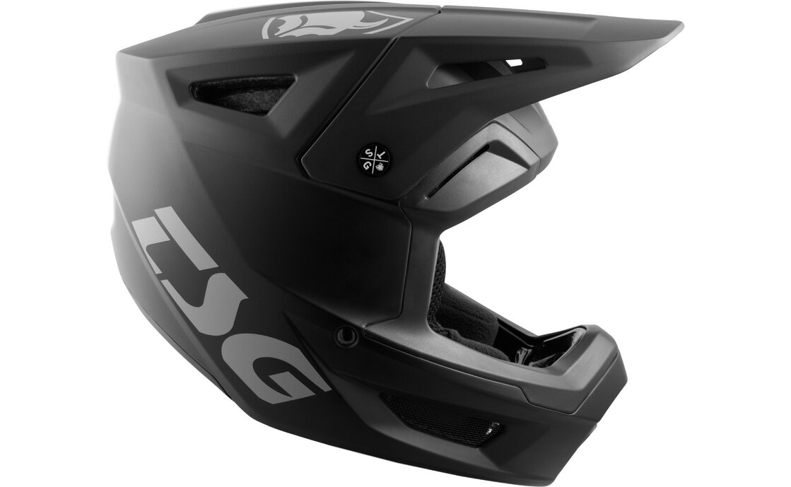 TSG Sentinel Solid Color