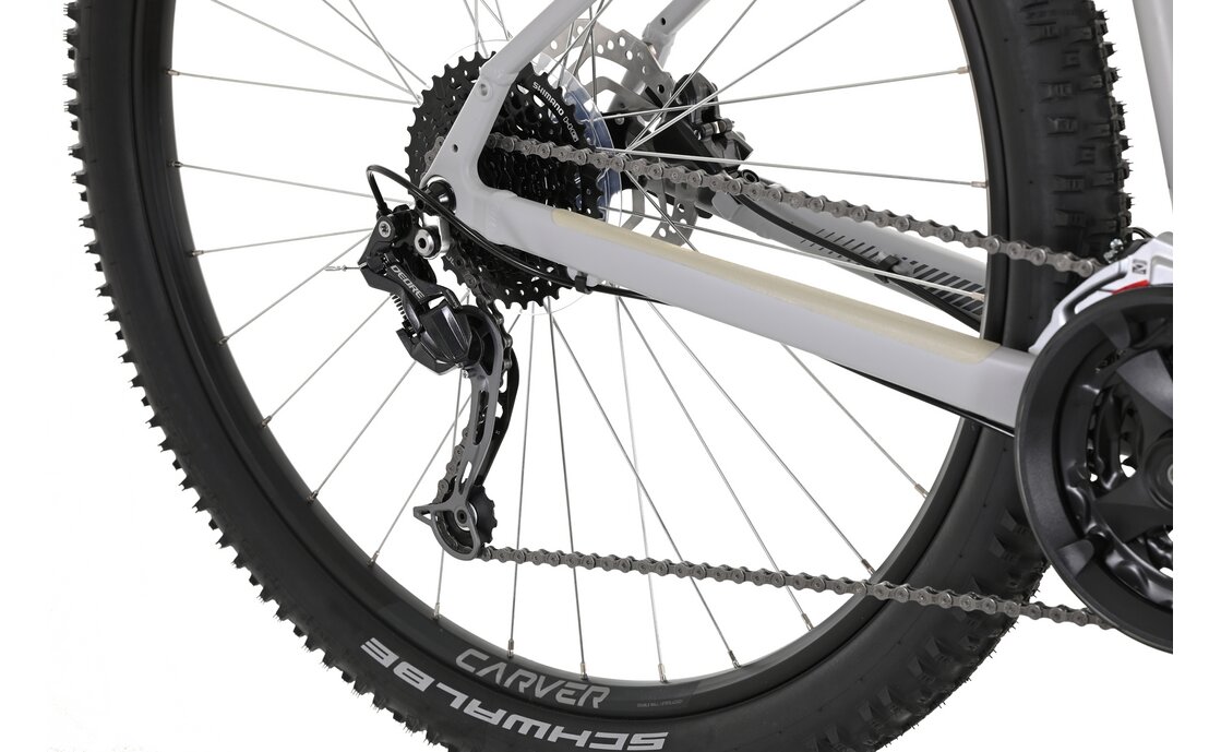 Carver Strict 130 - 29 Zoll - Diamant - 2024