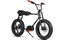 Ruff Cycles Lil Buddy Performance - 500 Wh - 20 Zoll - 2025