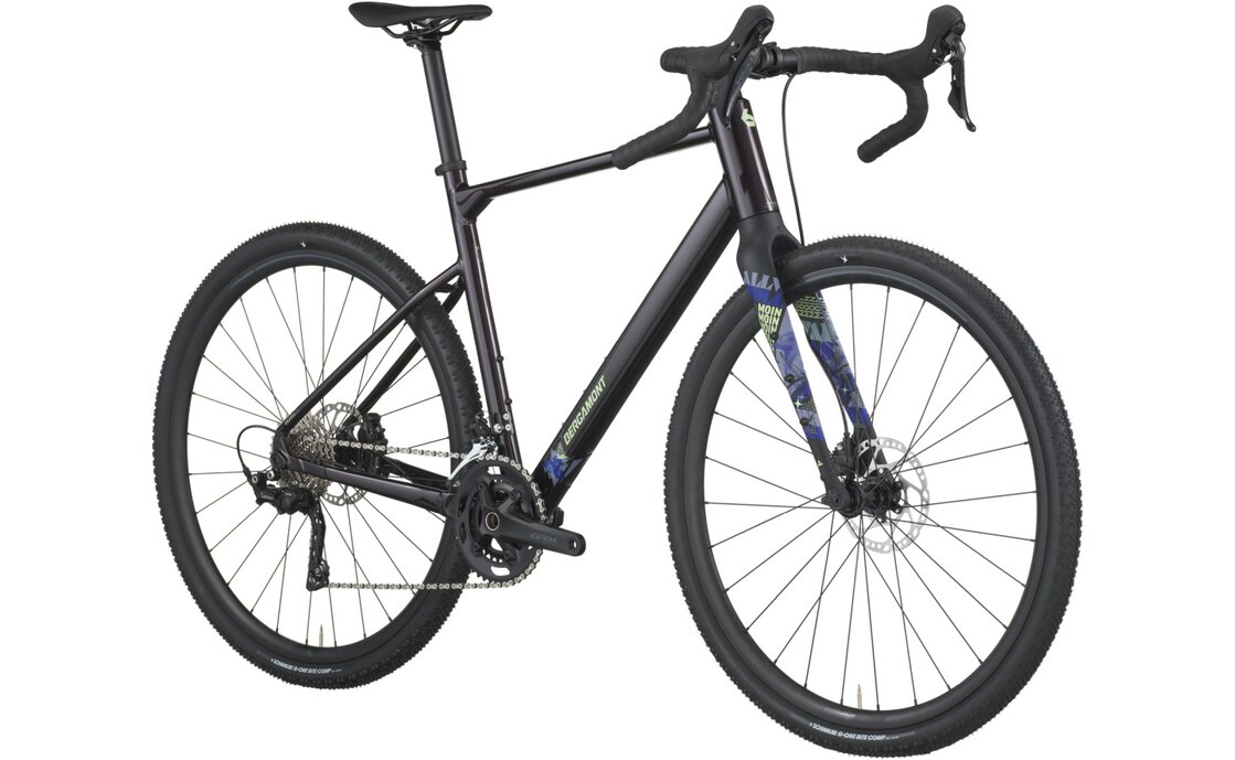 Bergamont Grandurance 30 - 28 Zoll - Diamant - 2026