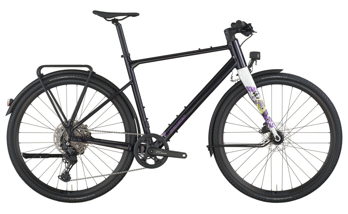 Bergamont Grandurance FB 10 EQ - 28 Zoll - Diamant - 2026