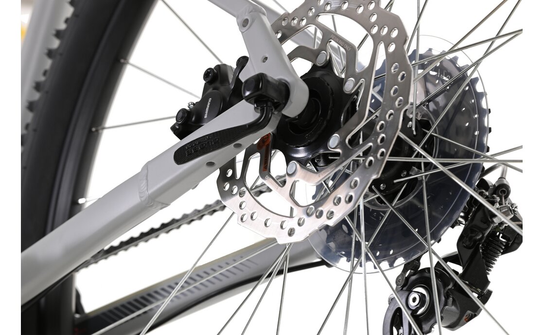 Carver Strict 130 - 29 Zoll - Diamant - 2024