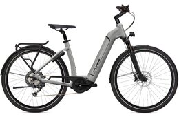 Flyer Gotour6 3.10 Comfort - 500 Wh - 28 Zoll - Tiefeinsteiger