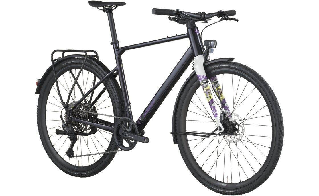 Bergamont Grandurance FB 10 EQ - 28 Zoll - Diamant - 2026