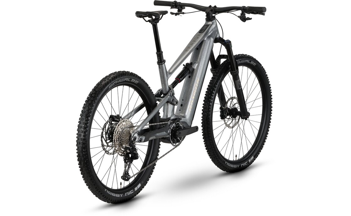 Raymon Ravor Comp - 840 Wh - 29 - 27,5 Zoll - Fully