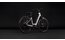 Cube Supreme Hybrid Deluxe Pro 600 - 600 Wh - 28 Zoll - Tiefeinsteiger - 2027