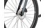 Carver Gravel 210 - 28 Zoll - Diamant - 2025
