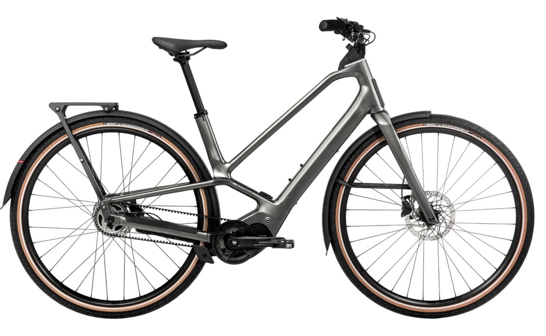 Orbea Diem 20 - 630 Wh - 28 Zoll - Trapez - 2027