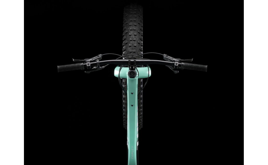 Trek Farley 5 - Diamant - 2026