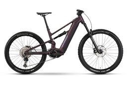Raymon Ravor Comp - 840 Wh - 29 - 27,5 Zoll - Fully